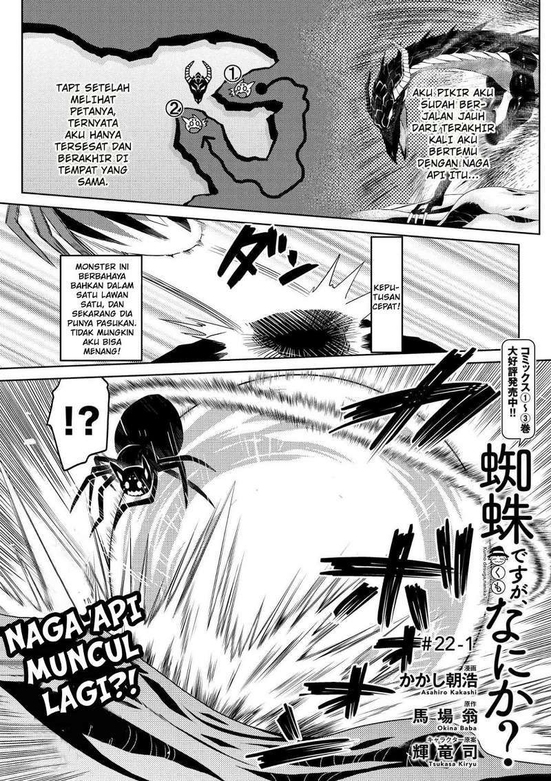 Kumo desu ga, Nani Ka?